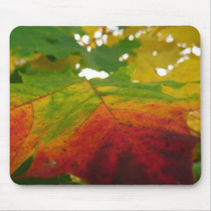 紅葉の秋の自然撮影 マウスパッド