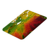 紅葉の秋の自然撮影 マグネット (左側)