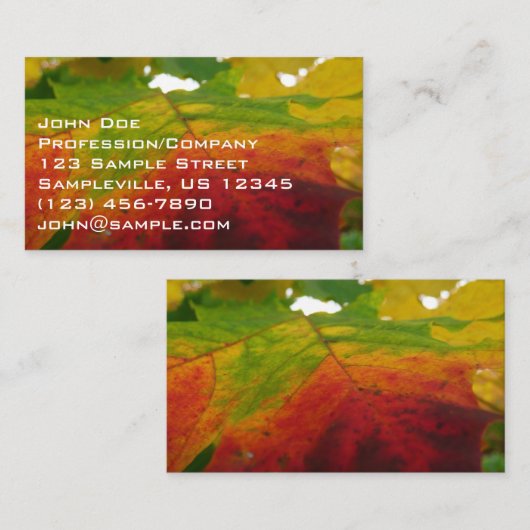 紅葉の秋の自然撮影 名刺 (正面/裏面)