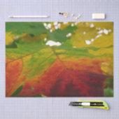 紅葉の秋の自然撮影 薄葉紙 (クラフト)