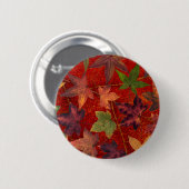 紅葉の秋季の木の葉のカラフル 缶バッジ (正面&裏面)