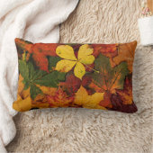 紅葉の自然のアメリカ人のMoJoの枕 ランバークッション (ブランケット)