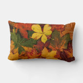 紅葉の自然のアメリカ人のMoJoの枕 ランバークッション (裏面)
