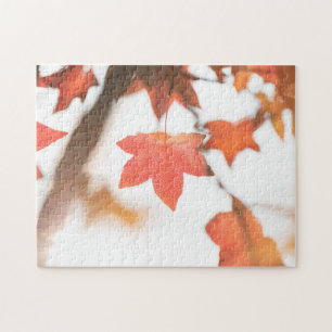 紅葉の自然写真 ジグソーパズル