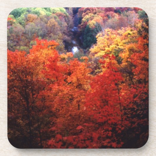 紅葉の色の変更 コースター (正面)