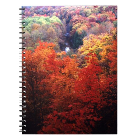 紅葉の色の変更 ノートブック (正面)