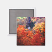 紅葉の色の変更 マグネット (正面/裏面)