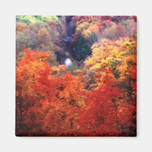紅葉の色の変更 マグネット (正面)