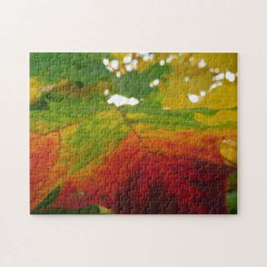 紅葉の色彩　秋の自然写真 ジグソーパズル (横)