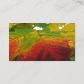 紅葉の色彩 秋の自然写真 名刺 (裏面)