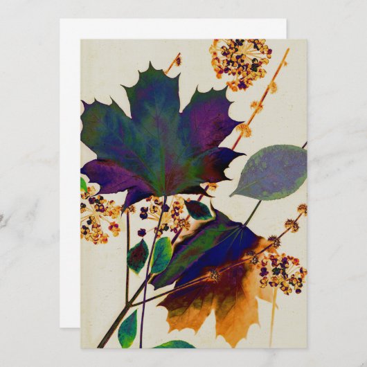 紅葉の色王室の付 (正面/裏面)