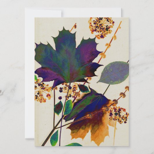 紅葉の色王室の付 (正面)