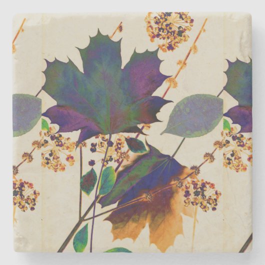 紅葉の色王室の付 ストーンコースター (正面)