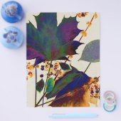 紅葉の色王室の付 チラシ (シングル)