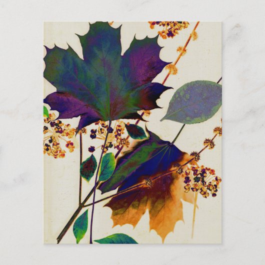 紅葉の色王室の付 チラシ (正面)