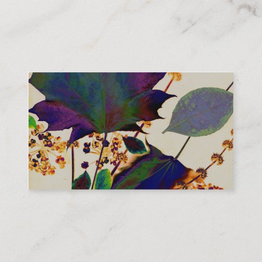 紅葉の色王室の付 名刺 (裏面)