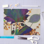 紅葉の色王室の付 薄葉紙 (クラフト)