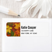 紅葉の色素朴付 ラベル (インサイチュ)