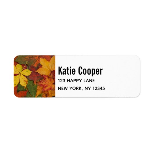 紅葉の色素朴付 ラベル (正面)