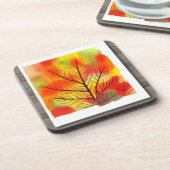 紅葉の色 コースター (左側)