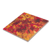 紅葉の落ち葉 レッド セラミックタイル (側面)