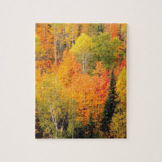 紅葉の谷 秋のシーズンの写真 ジグソーパズル