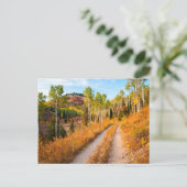 紅葉の道 ポストカード (スタンド正面)
