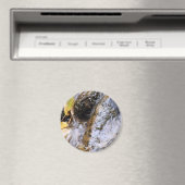 紅葉の静かな山の小川 マグネット (インサイチュ (食洗機))