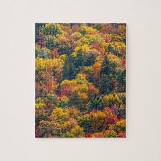 紅葉の風景 秋の景色 写真 ジグソーパズル