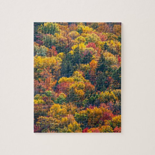 紅葉の風景 秋の景色 写真 ジグソーパズル (縦)