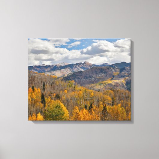 紅葉の《植物》アスペン&オークスキーブラーパス キャンバスプリント (正面)