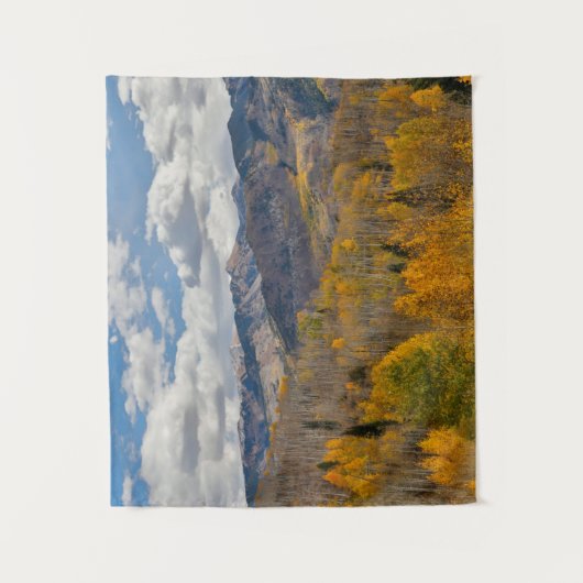 紅葉の《植物》アスペン&オークスキーブラーパス タペストリー (正面)