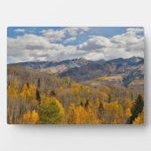 紅葉の《植物》アスペン&オークスキーブラーパス フォトプラーク (正面)