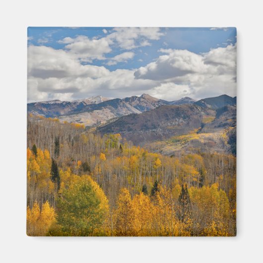 紅葉の《植物》アスペン&オークスキーブラーパス マグネット (正面)