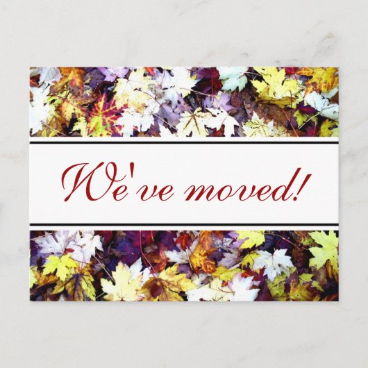 紅葉はがきを移動する | 秋景 案内ポストカード (正面)