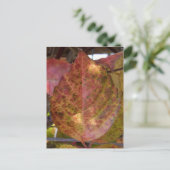 紅葉はがき ポストカード (スタンド正面)