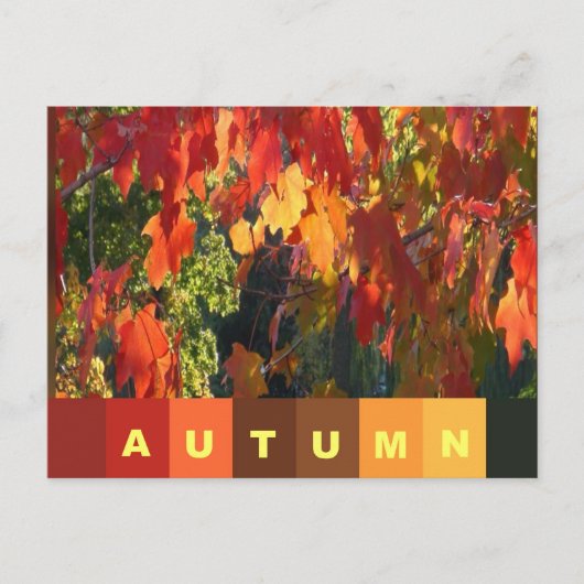 紅葉はがき ポストカード (正面)