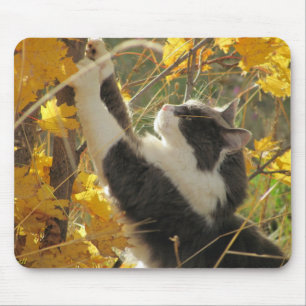 紅葉を点検すること マウスパッド