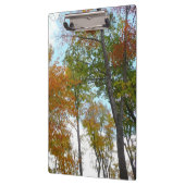 紅葉を見上げるカラフル秋の葉 クリップボード (左)