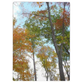 紅葉を見上げるカラフル秋の葉 クリップボード (裏面)