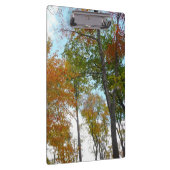 紅葉を見上げるカラフル秋の葉 クリップボード (右)