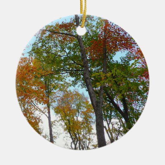 紅葉を見上げるカラフル秋の葉 セラミックオーナメント (正面)