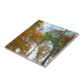 紅葉を見上げるカラフル秋の葉 タイル (側面)