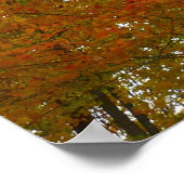 紅葉を見上げるカラフル秋の葉 ポスター (角)