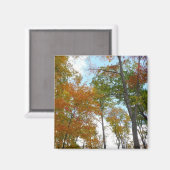 紅葉を見上げるカラフル秋の葉 マグネット (正面/裏面)