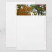 紅葉を見上げるカラフル秋の葉 便箋 (正面/裏面)