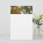 紅葉を見上げるカラフル秋の葉 便箋 (スタンド正面)