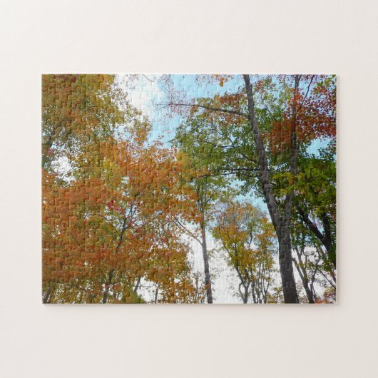 紅葉を見上げる I 色とりどりの紅葉 ジグソーパズル (横)