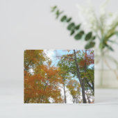 紅葉を見上げる I 色とりどりの紅葉 ポストカード (スタンド正面)