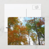 紅葉を見上げる I 色とりどりの紅葉 ポストカード (正面/裏面)